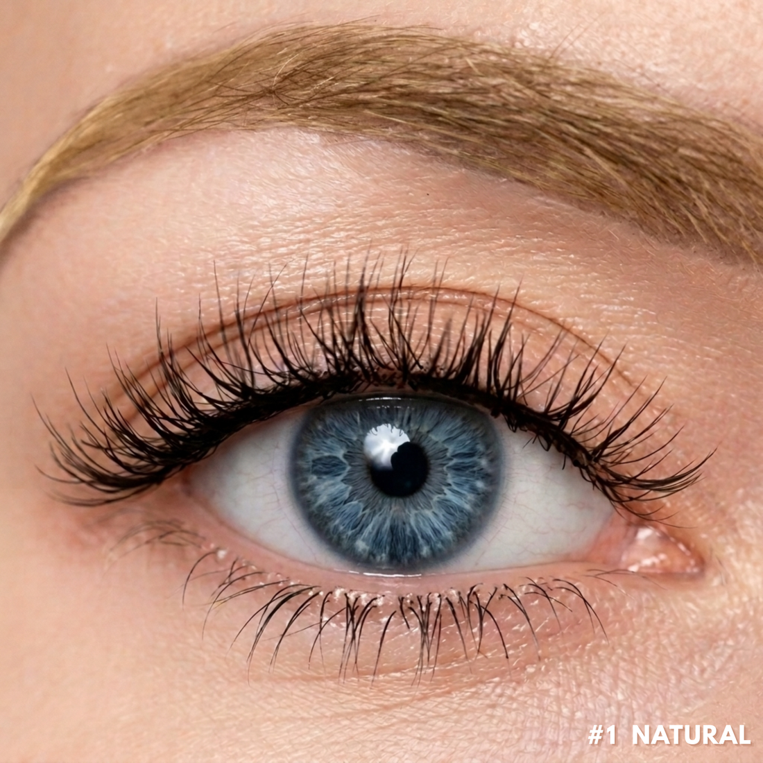 RareKitty Magnetic Lash Kit 1.0