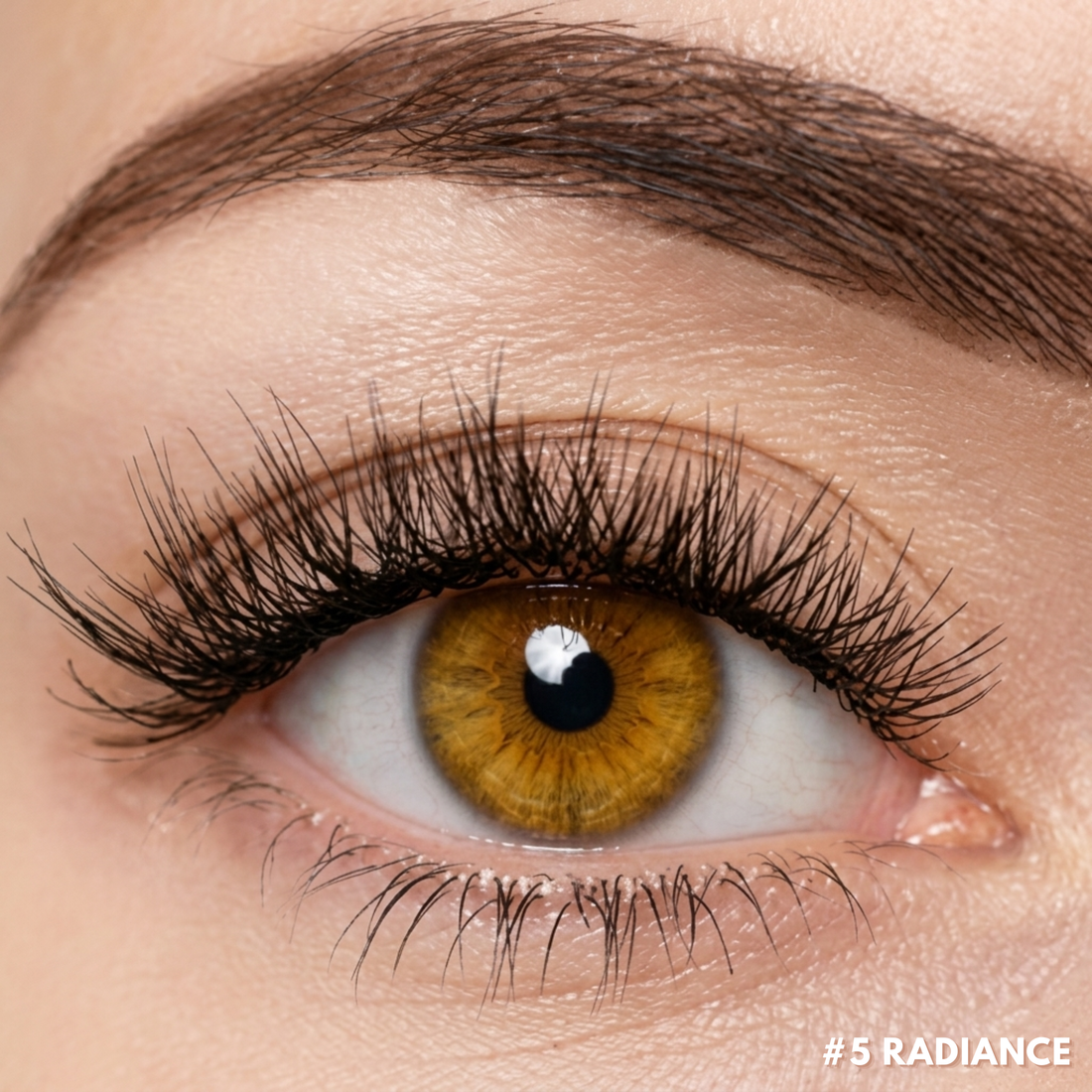 RareKitty Magnetic Lash Kit 1.0