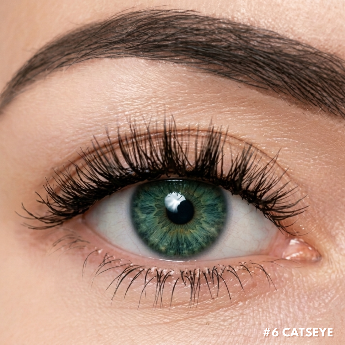 RareKitty Magnetic Lash Kit 1.0
