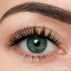 #6 Catseye